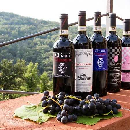Feriegård Borgo Livernano Radda in Chianti