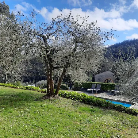 Feriegård Borgo Livernano Radda in Chianti