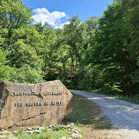 Borgo Livernano Çiftlik konaklama Radda in Chianti