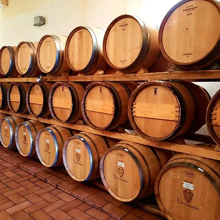 Borgo Livernano *