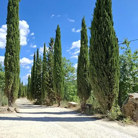 Borgo Livernano