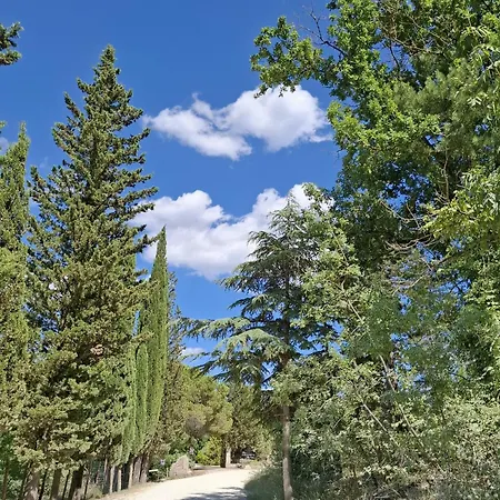 בית חווה Borgo Livernano *