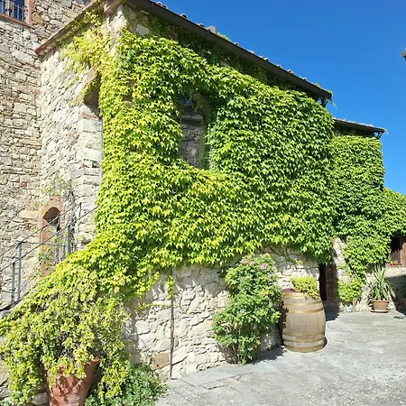 Gospodarstwo agroturystyczne Borgo Livernano *