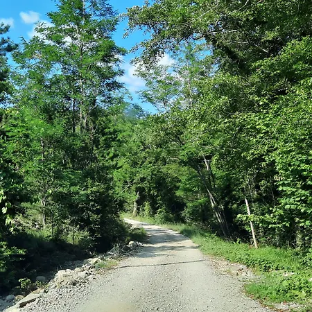 Gospodarstwo agroturystyczne Borgo Livernano